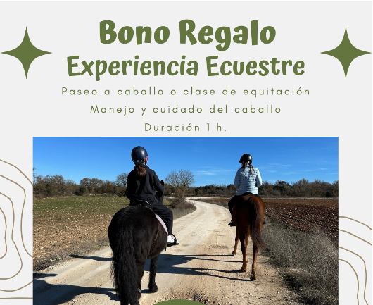 Captura de pantalla 2025-12-15 190219